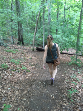 brandywine-creek-state-park-hiking