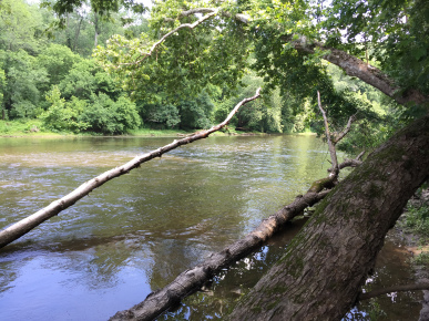 brandywine-creek-state-park-river