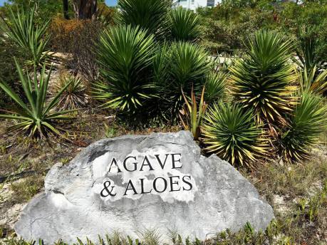 turks-and-cacios-bight-park-botanical-gardens