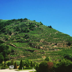 vidal-fleury-winery-rhone-alps-france