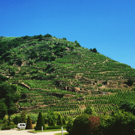 vidal-fleury-winery-rhone-alps-france