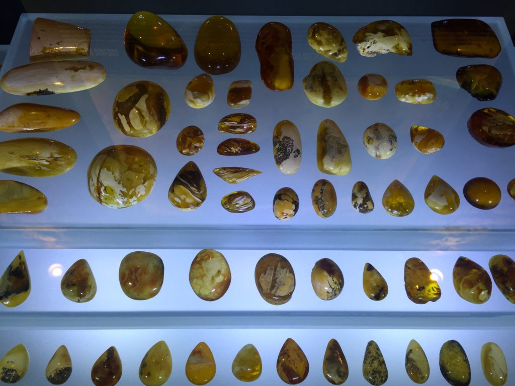 polish-amber-plant-inclusions