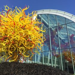 top-seattle-attractions-chihuly-garden-glass