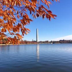 washington-dc-attractions-tidal-basin