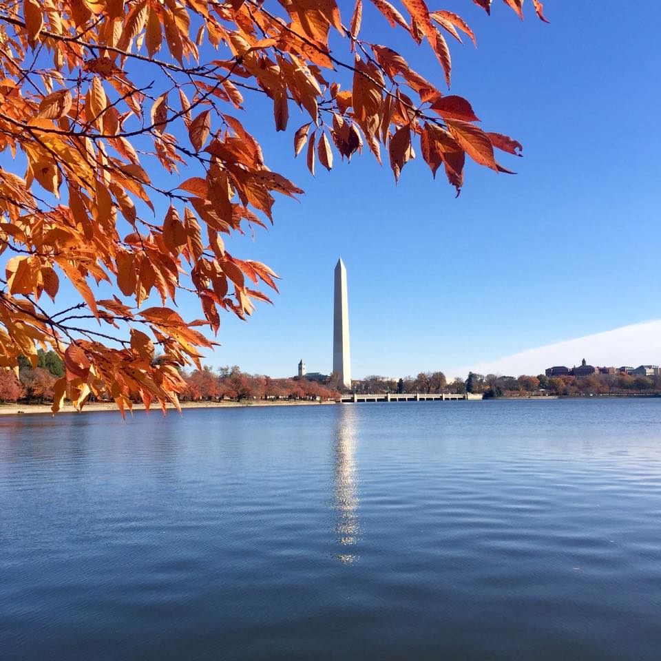 washington-dc-attractions-tidal-basin